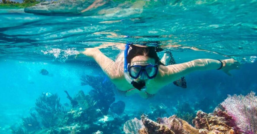 From Da Nang/ Hoi An: Cham Island Snorkeling Private Tour - Good To Know