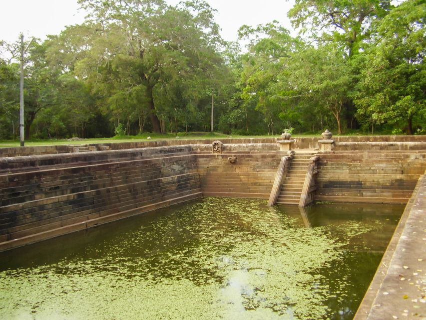 From Dambulla: Sacred City of Anuradhapura Private Day Tour - Good To Know