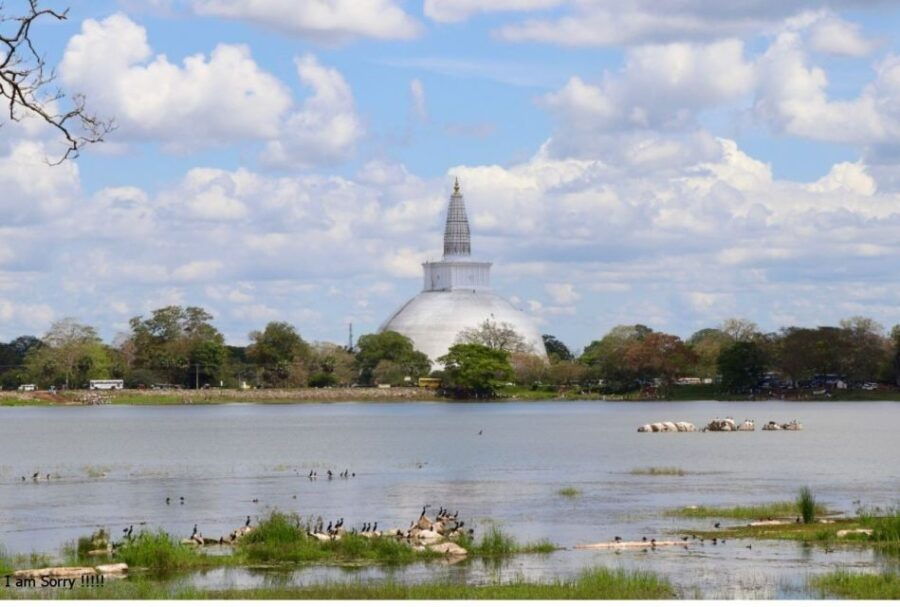 From Dambulla/Sigiriya: Ancient City of Anuradhapura by Bike - Good To Know