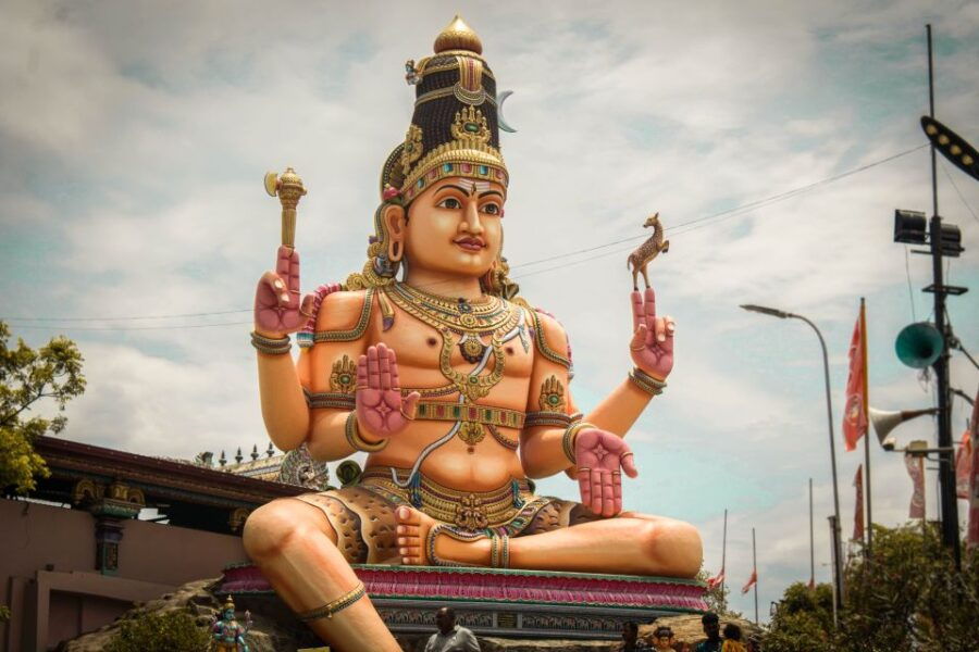 From Dambulla: Trincomalee Sightseeing Tour