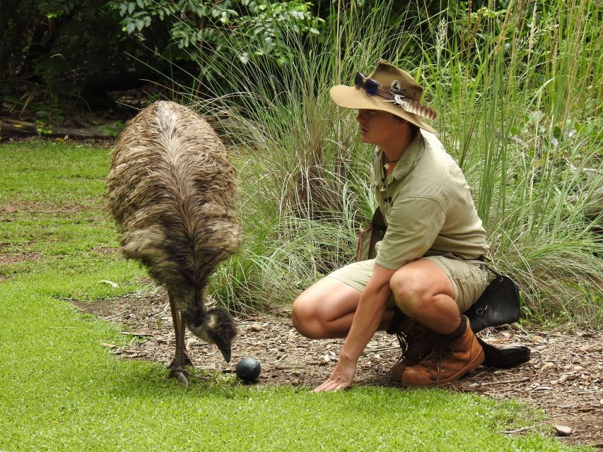 From Darwin: 1 Day Territory Wildlife Park Tour - Good To Know