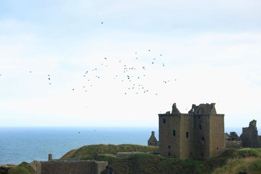 From Edinburgh: 6-Day Shetland & Nothernmost Explorer - Good To Know