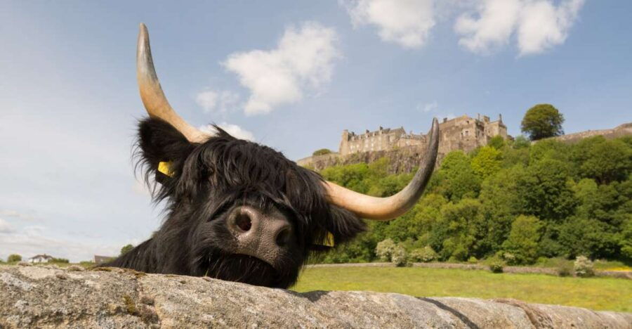 From Edinburgh: Loch Lomond, Stirling Castle & Kelpies Tour - Good To Know