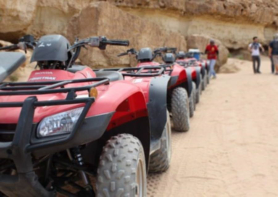 From El Gouna: Dry Canyon Quad Bike Morning Tour - Good To Know