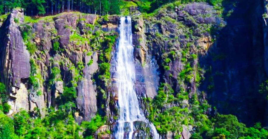 From Ella: Bambarakanda & Lanka Ella Falls Hike With Lunch - Good To Know