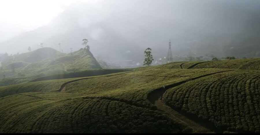 From Ella : Tours All Around Sri Lanka