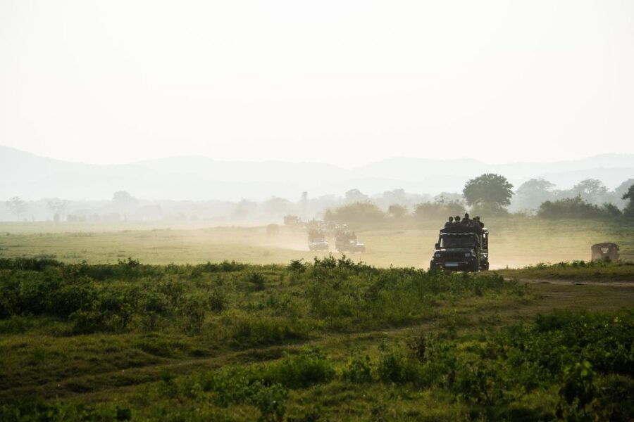 From Ella: Transfer to Hikkaduwa/Galle With Yala Safari Tour - Good To Know