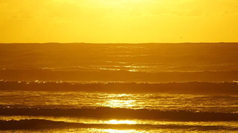 From Essaouira: 2h Horseback Ride With Sunset - Good To Know