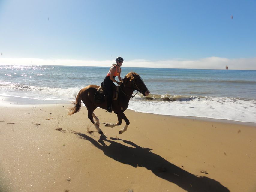 From Essaouira: Horseback Tour With Overnight Berber Camp - Good To Know
