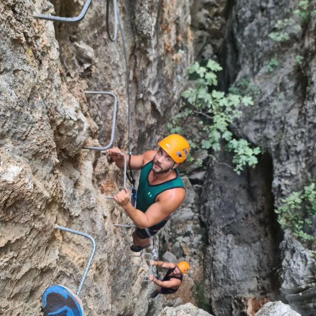 From Estepona: Vía Ferrata De Benalauria Climbing Tour