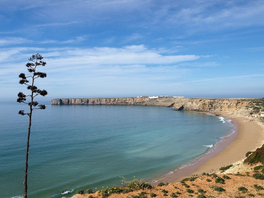 From Faro: 8-Day Tour of Portugal - Good To Know