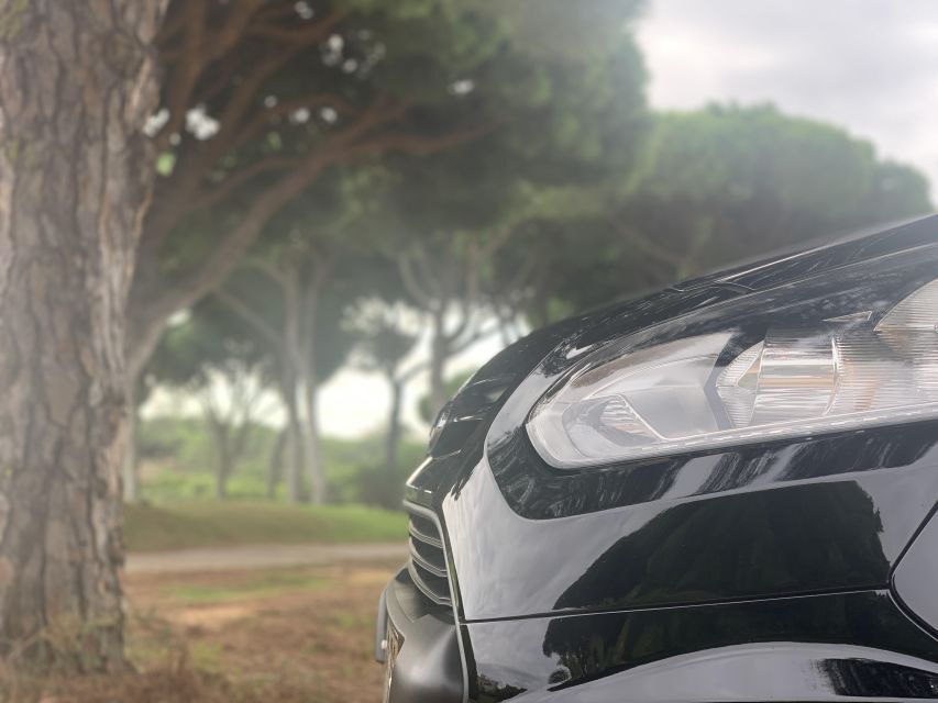 From Faro Airport: 1-Way Private Transfer to Galé
