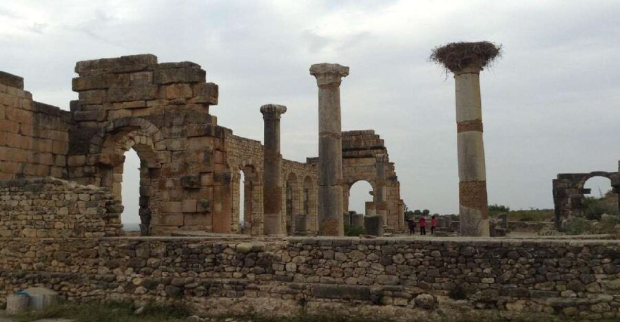 From Fez: Volubilis Moulay Idriss & Meknes Full-Day Trip