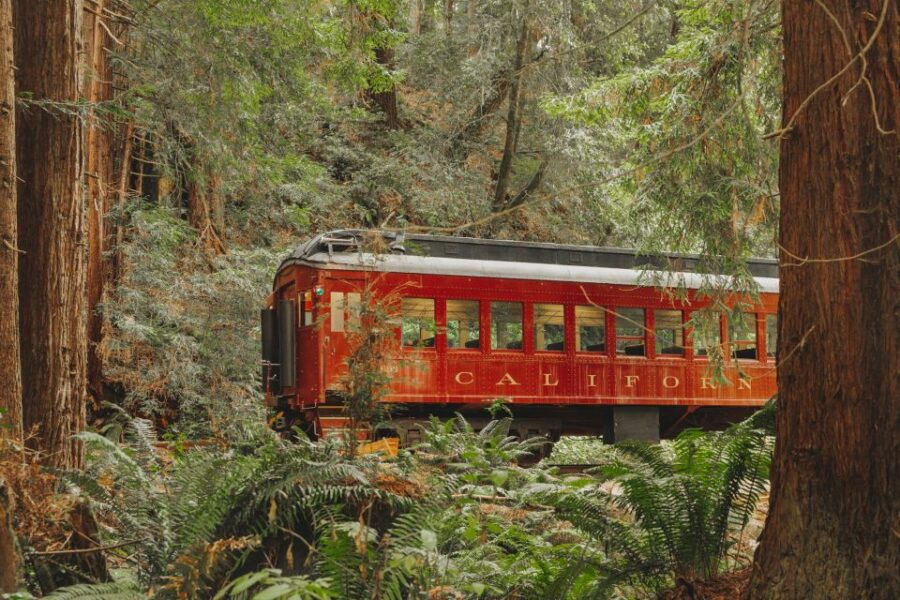 From Fort Bragg: Redwoods Train Ride and Nightclub Ticket
