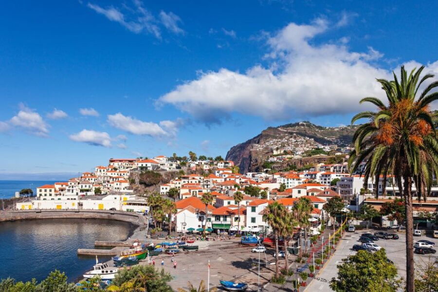 From Funchal: Best of Madeira Tour (Half-Day Tour) - Good To Know