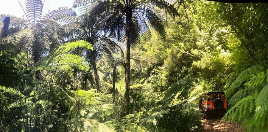 From Funchal: Madeira Island Private Jeep 4x4 Tour - Tour Booking Details