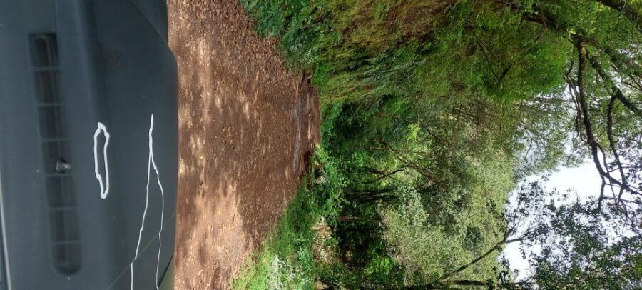 From Funchal: Pico Do Arieiro and Santana Full-Day 4x4 Tour - Good To Know