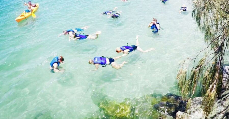 From Gold Coast: Kayaking & Snorkelling Tour With Breakfast - Good To Know