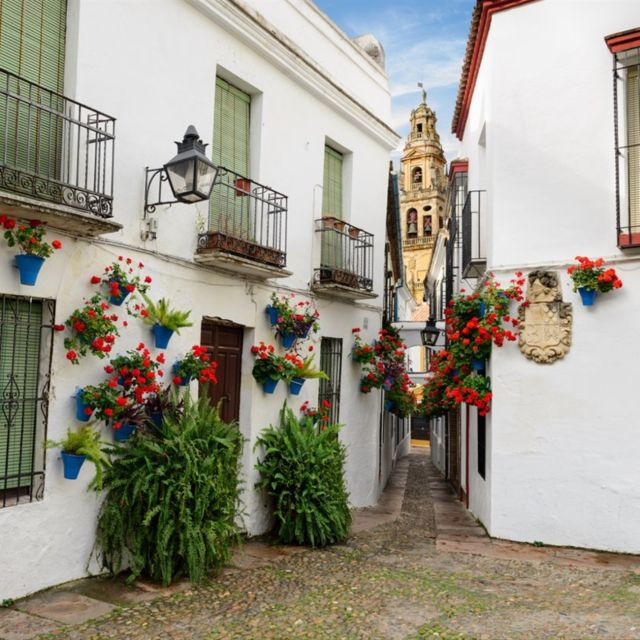 From Granada; Córdoba Highlights. Private English Tour