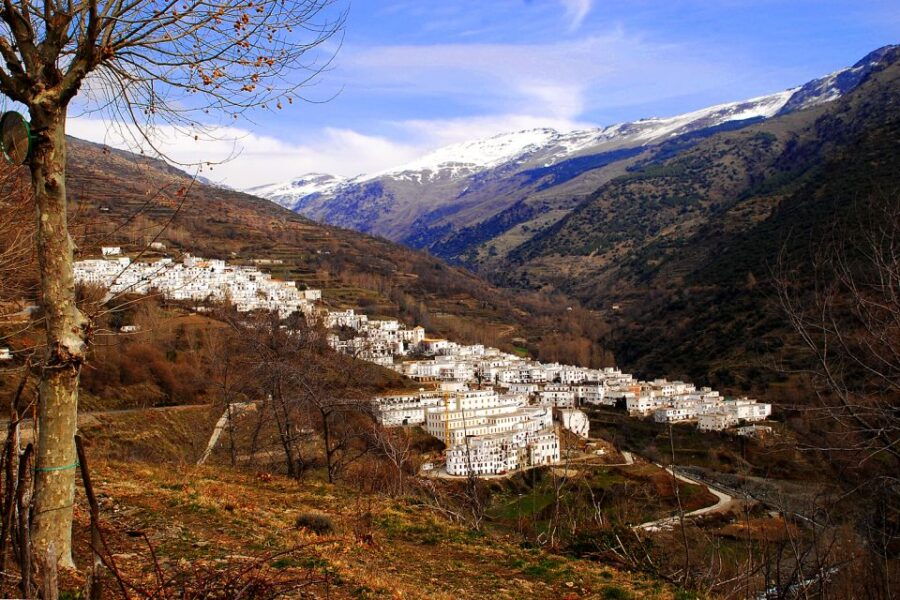 From Granada: Day Trip to Trevélez With Ham Factory - Good To Know