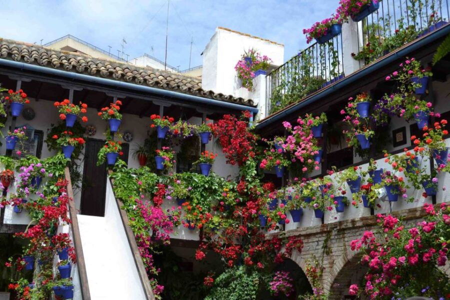 From Granada: Transfer to Seville With Cordoba Guided Tour