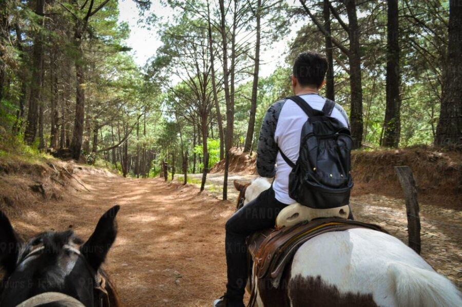 From Guadalajara: Guided Tour to Mazamitla and Eco-Park