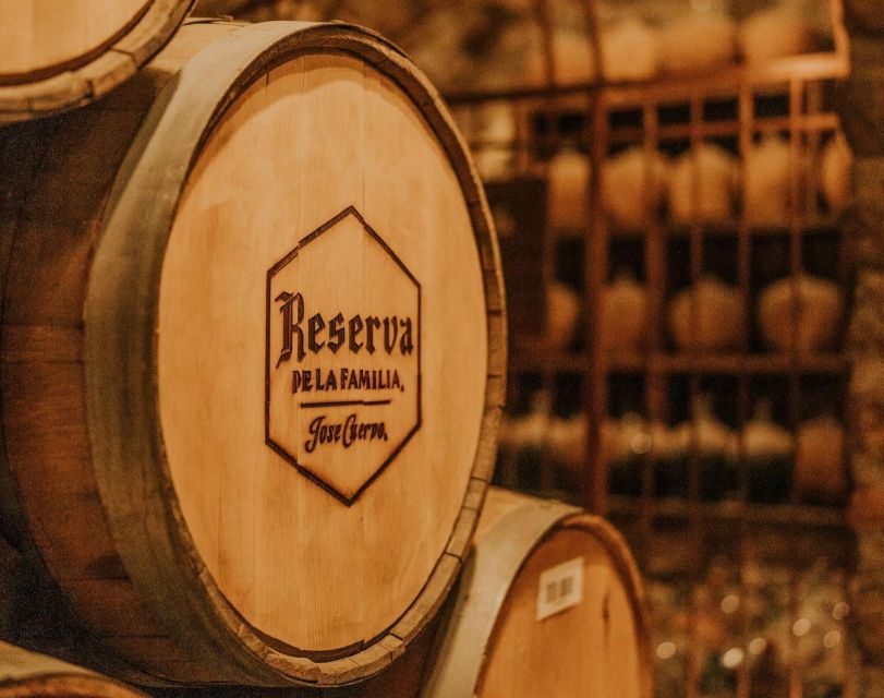 From Guadalajara: Tequila Day Trip With Jose Cuervo Option - Good To Know