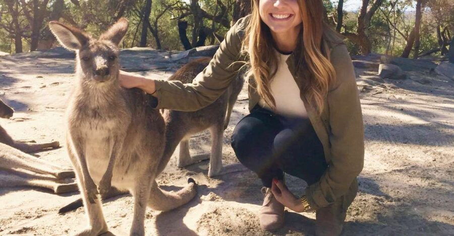 From Haymarket: Hunter Valley Wine and Wildlife Day Trip - Good To Know