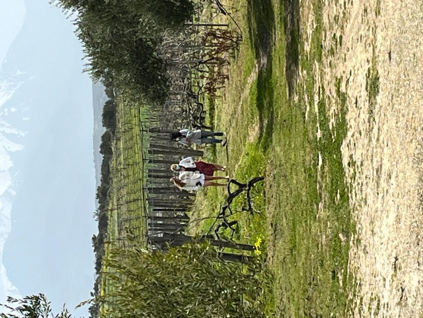 From Heraklion: Wine Tasting Experience @ Titakis Winery - Good To Know