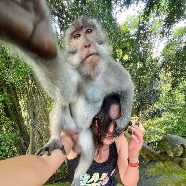 From Ho Chi Minh: Can Gio Mangrove Forest - Good To Know