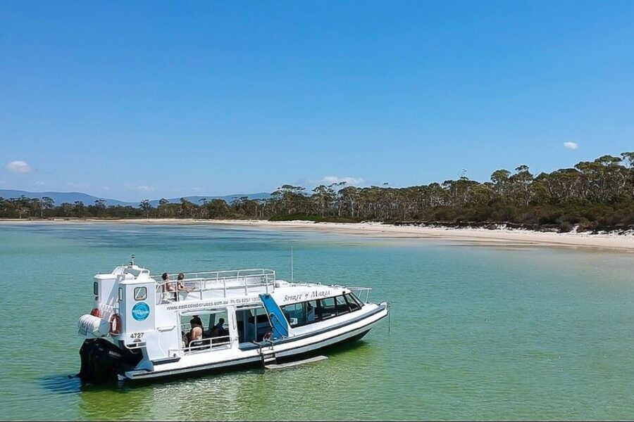 From Hobart: Day Trip to Maria Island With Hotel Pickup - Good To Know