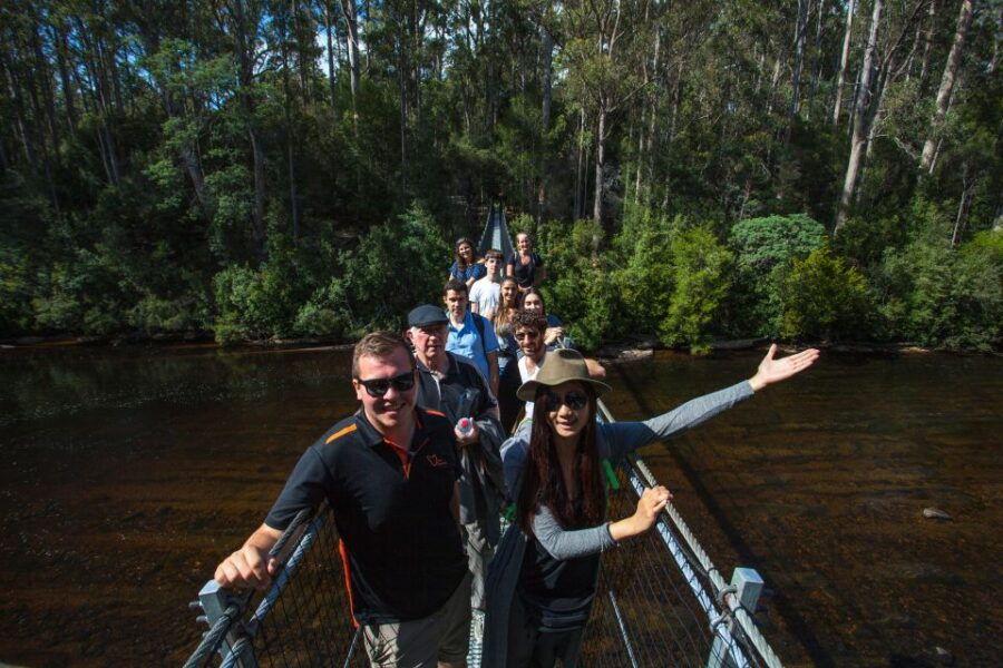 From Hobart: Full-Day Tahune Airwalk & Hastings Caves Tour
