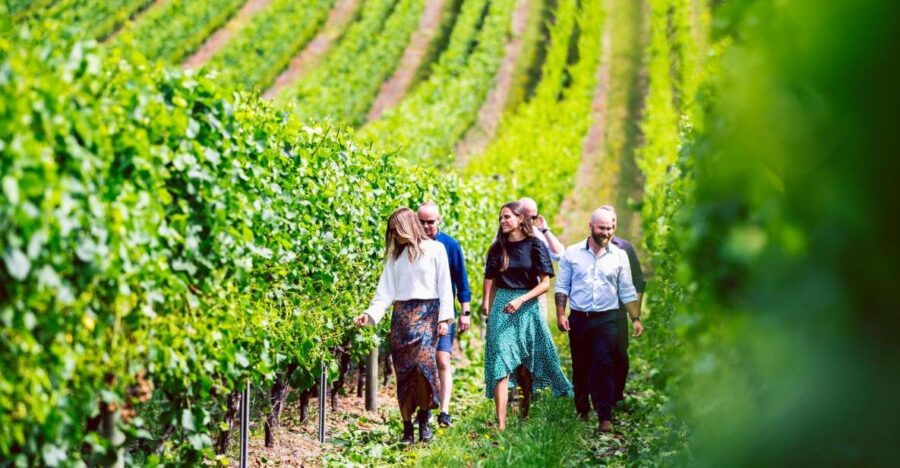 From Hobart: Full-Day Wine, Cider, Beer, and Whiskey Tour - Good To Know