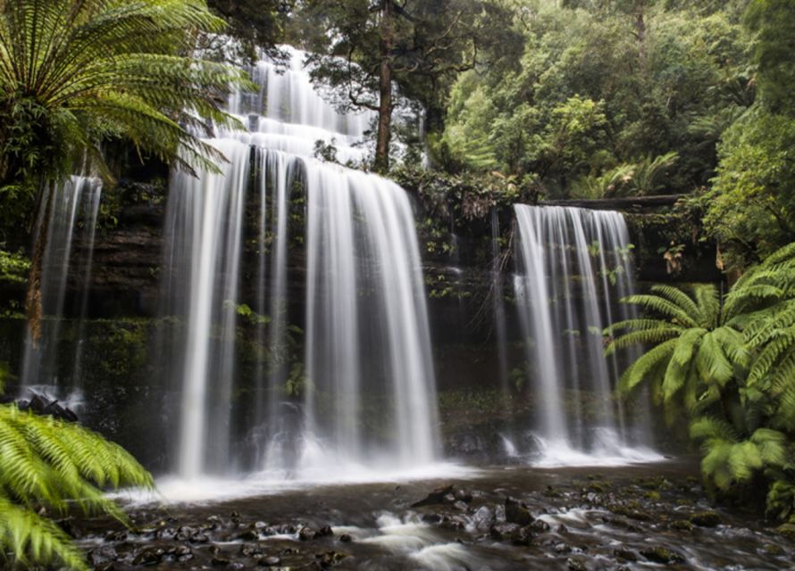 From Hobart: Mt. Field National Park and Russell Falls