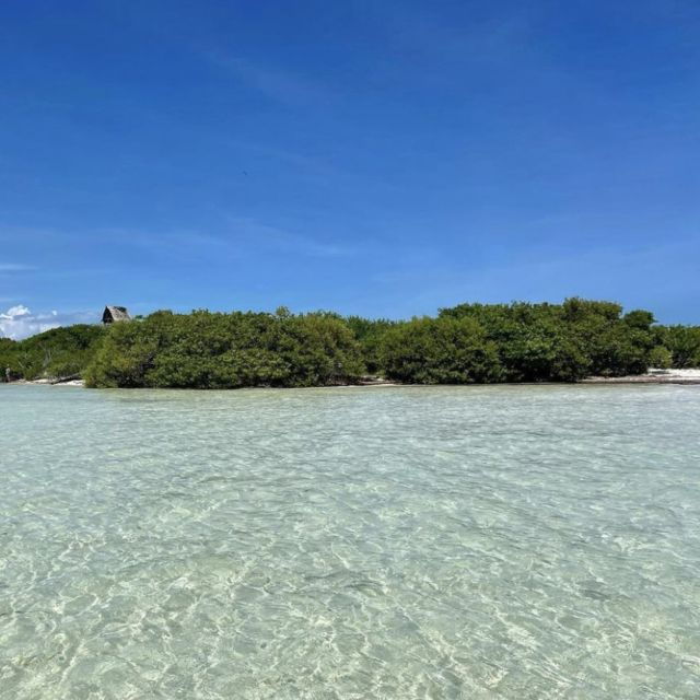 From Holbox: 3-Islands Wildlife and Swimming Boat Tour - Good To Know