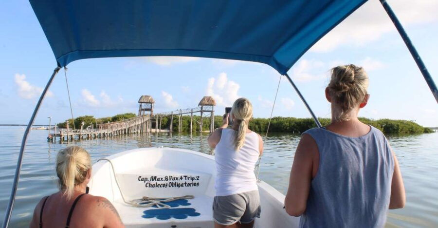 From Holbox: Speedboat Cruise With Lagoon Swim - Good To Know