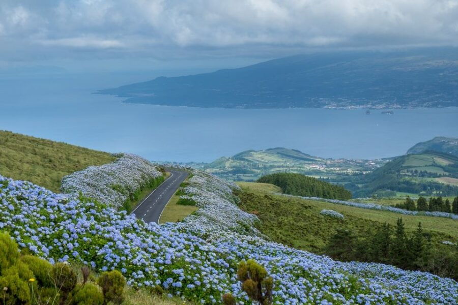 From Horta: Guided Faial Island Tour - Good To Know