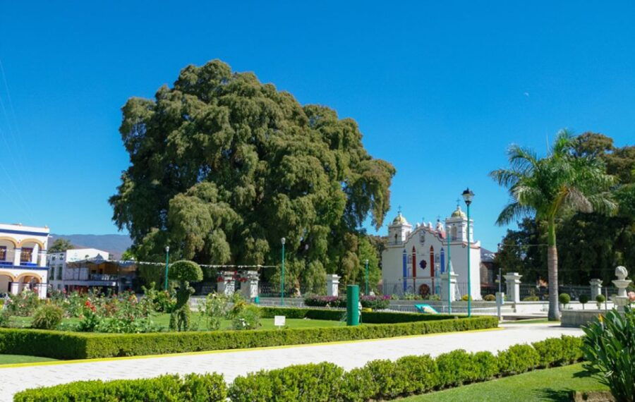From Huatulco: 2 Days Excursion to Oaxaca City - Good To Know