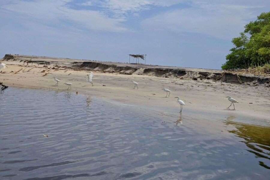 From Huatulco: Beach Horseback Riding Experience - Booking and Cancellation Policies