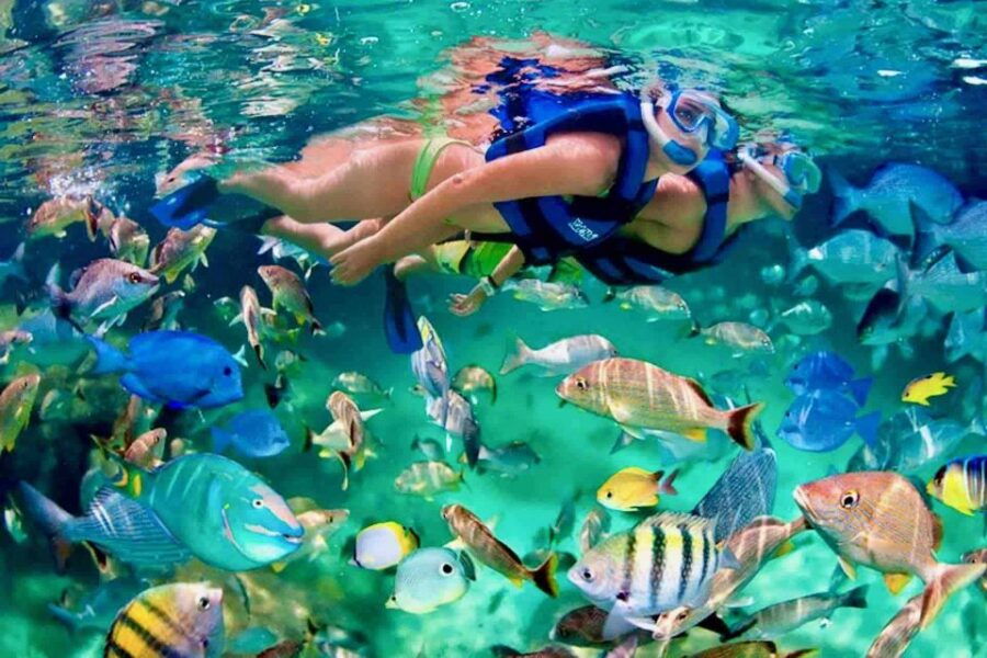 From Huatulco: Private 7 Bays Boat Tour - Good To Know