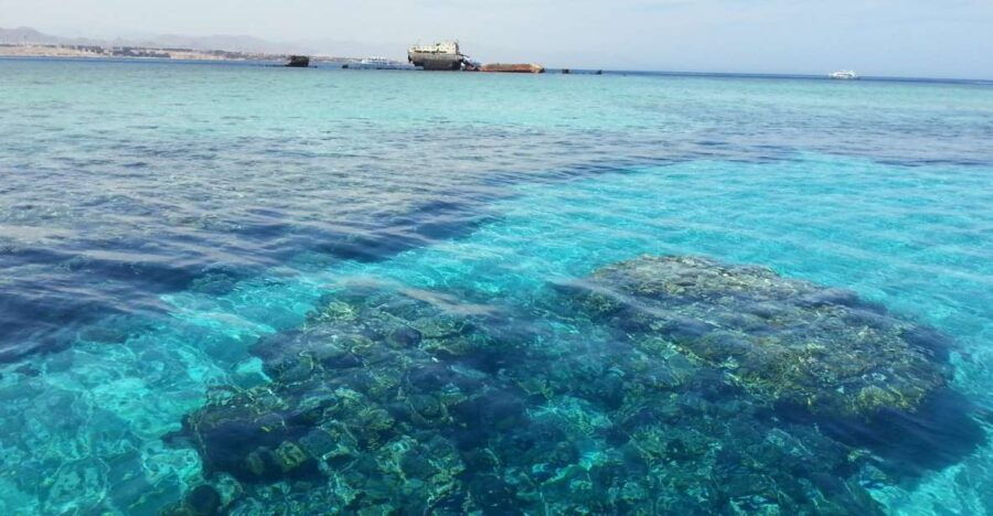 From Hurghada: Scuba Diving Trip With 2 Dives - Good To Know