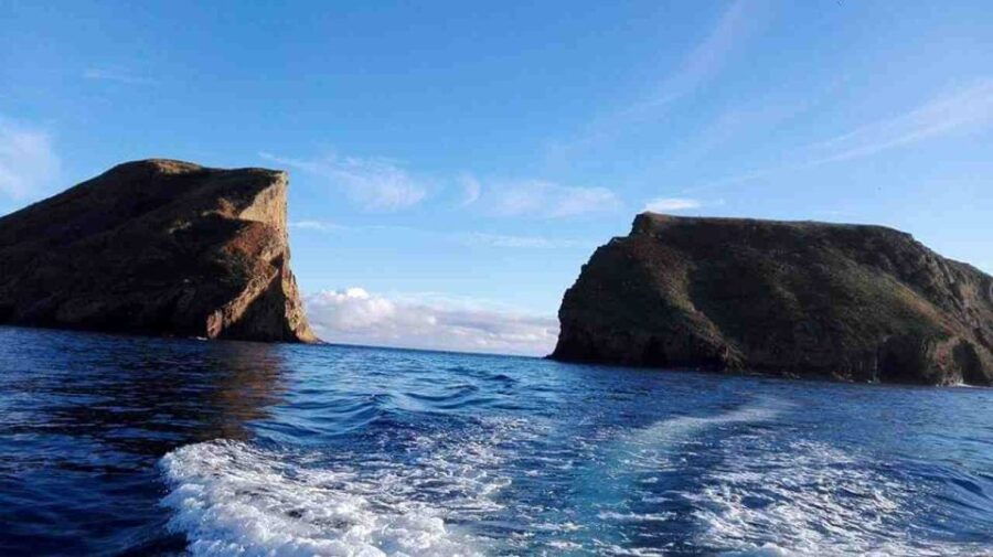 From Ilha Terceira: Ilhéu Das Cabras Snorkeling Boat Tour