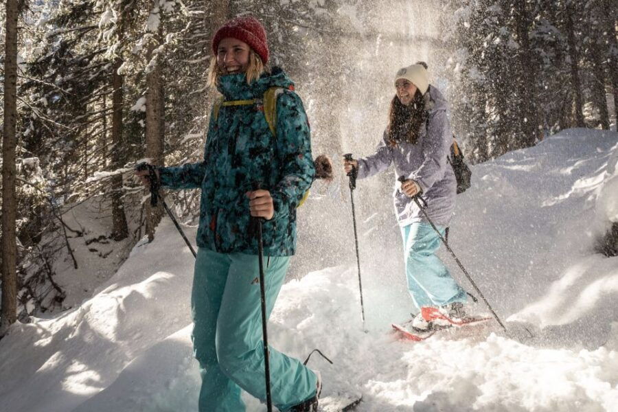 From Interlaken: Wetterhorn Trail Snowshoe Hiking Tour - Good To Know
