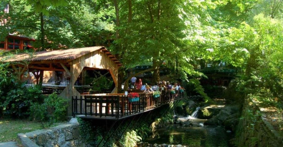 From Istanbul: Guided Day Trip to Sapanca and Masukiye - Good To Know