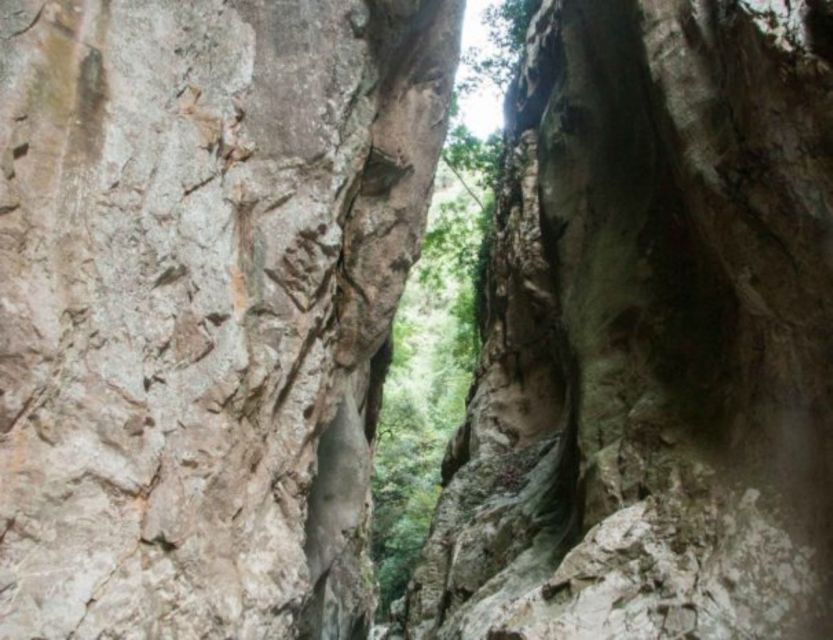 From Kalamata: Ridomo Gorge Hiking Tour With Beach Swim - Good To Know