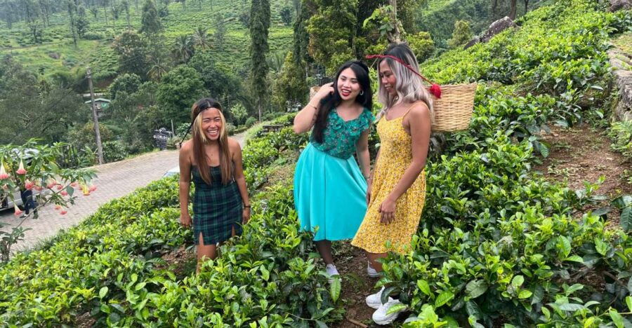 From Kandy Train, and Pool Club Day Tour With Pickup