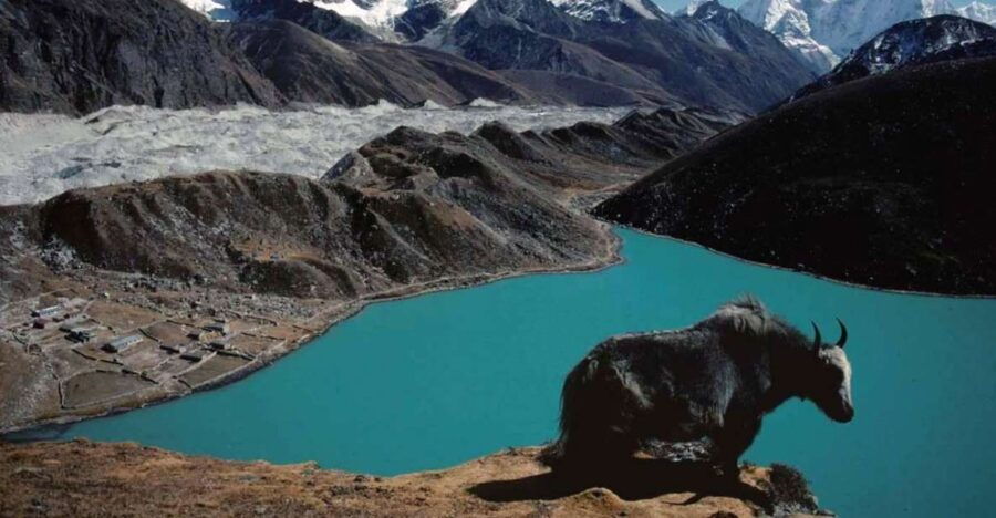 From Kathmandu : 12 Days Gokyo Lakes Trek