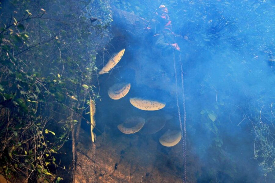 From Kathmandu: 5 Day Honey Hunting Tour (Lumjung) - Good To Know