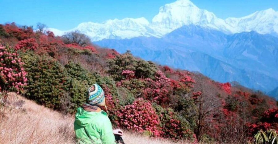 From Kathmandu: 5 Day Poon Hill and Ghandruk Guided Trek