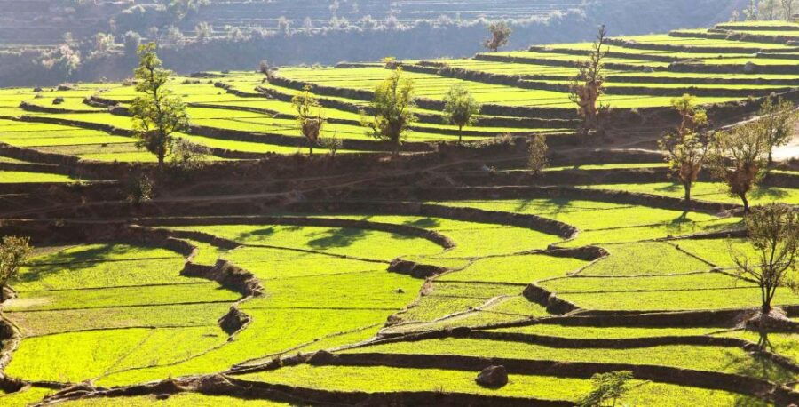 From Kathmandu Budget: Panauti to Namobuddha Day Hiking - Good To Know